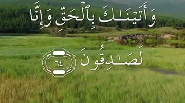سورة الحجر صفحة ٢٦٥ مكتوبة مكررة مع سعد الغامدي