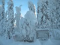 Danny - Kuusamo  (ruka)