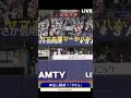 【解禁】オリックスバファローズ「タオル」