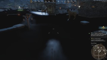 Something is wrong with Conqueror