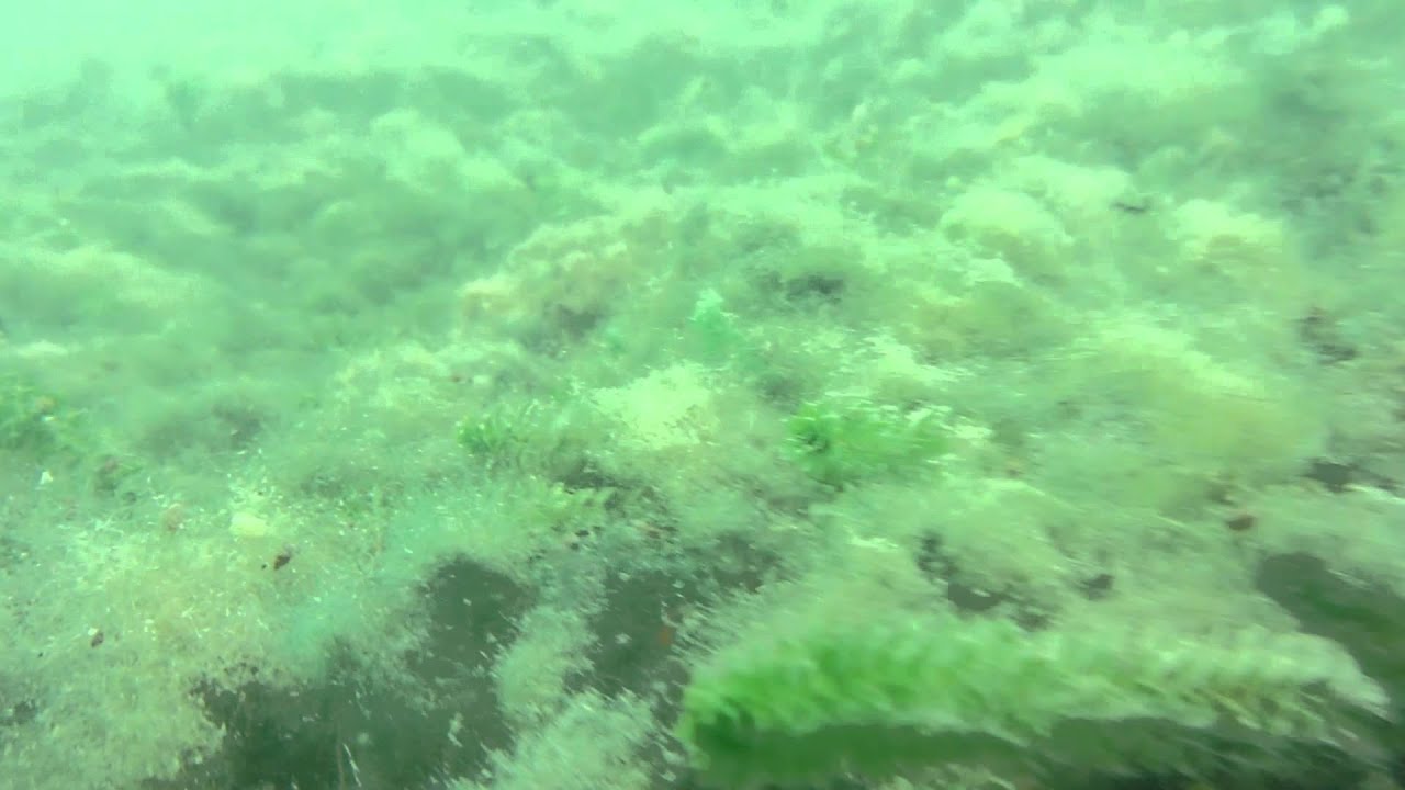 Nurkowanie w jeziorze - CENTRUM VIP