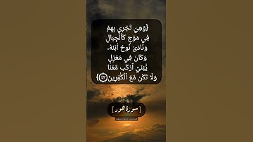 سورة هود الآية ٤١ و ٤٢ بصوت الشيخ محمد صديق المنشاوي