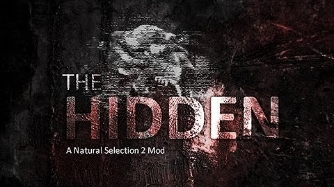 Hidden Source Playing with Friends [Lithuanian]