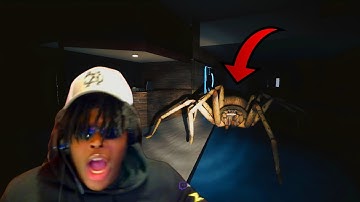 A HORROR GAME WHERE YOU RUN FROM A GIANT HUNTSMAN SPIDER.. [HUNTSMAN]