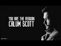Song You are the reason lyrics
