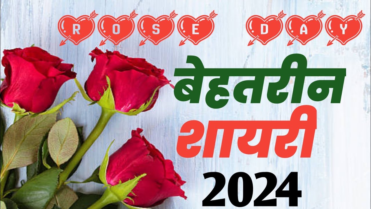 Rose day status|Happy Rose day status|Rose day|Rose Day Shayari|Rose ...