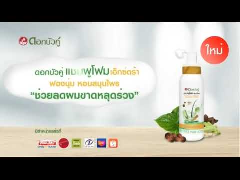 VTR ดอกบัวคู่ แชมพูโฟม สมุนไพร เอ็กซ์ตร้า ค.ศ. 2022
