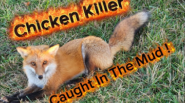 Trapping In The Rain EP 3 