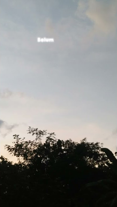 STORY WA 30 DETIK!! TAK KAN SIAKAN DIA.)