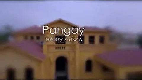 The hit song of honey mirza