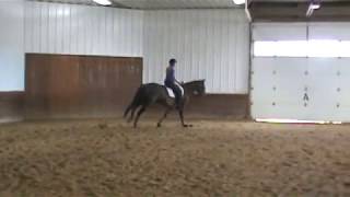 Ruby Canter Right 5-17-17