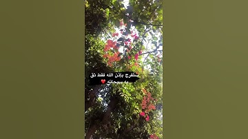 القرآن الكريم سورة غافر آيه٣:غافر الذنب وقابل التوب شديد العقاب ذي الطول لا إله إلا هو إليه المصير