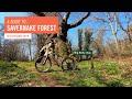 A Guide to Savernake Forest | Wiltshire MTB