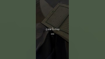 #قرآن #ماهر_المعيقلي #اكسبلور #قران_كريم #quran #القرآن_الكريم #سورة_الضحى