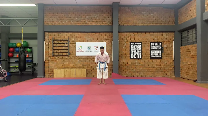 NICOLAS GAMBOA (Col) AMERICAN JUNIOR KARATE LEAGUE...