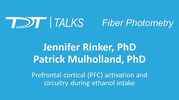 TDT Talks | Fiber Photometry - Jennifer Rinker, PhD and Patrick Mulholland, PhD