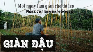 Top 11 Cách Làm Giàn Trồng Đậu Cove Mới Nhất Năm 2022