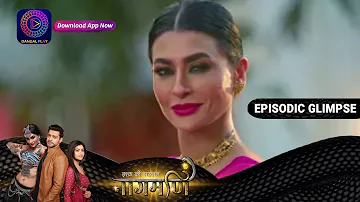 Ishq Ki Dastaan Naagmani | EP 219 Part 1 | Episodic Glimpse | Dangal TV