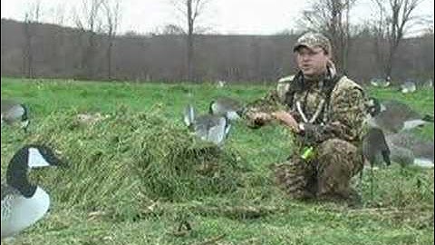 Concealing Your Layout Blind