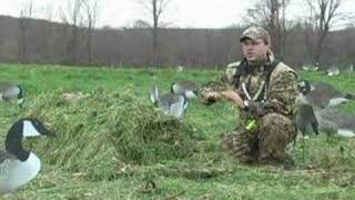 Concealing Your Layout Blind