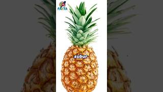 Tahukah kamu.?? Fakta manfaat nanas untuk kesehatan