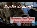 Cara Merawat Lembu Demam || Musim Hujan Lembu Sejuk Senang Demam