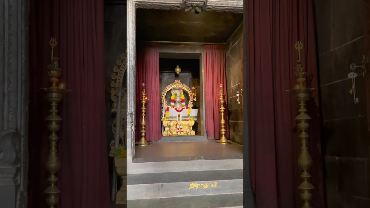 A temple, a dog, and endless peace 🐕🕉️ 