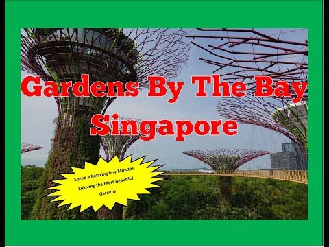 Experience The Stunning Gardens By The Bay In Singapore on the Ultimate World Cruise. Video Thumbnail