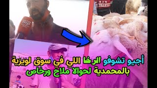 اجيو تشوفو الرخا اللي في سوق لويزية بالمحمدية لحوالا ملاح ورخاص