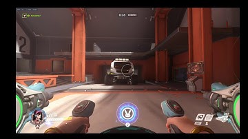 D.Va mech bug.