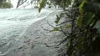 nz slide.mov