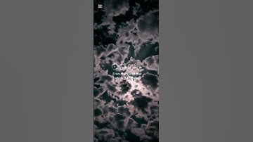 القرآن الكريم بصوت الشيخ ياسر الدوسري سورة الفلق #اكسبلور