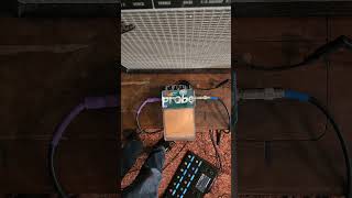 Fuzz Probe demo on my channel #guitar #subscribe #demo #youtube #shorts #fuzz #wilco #jmascis