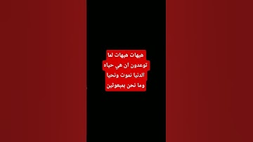 #قرآن #ياسر_الدوسري #اكسبلور #سورة_المؤمنون #المصحف #لايك #القزابري