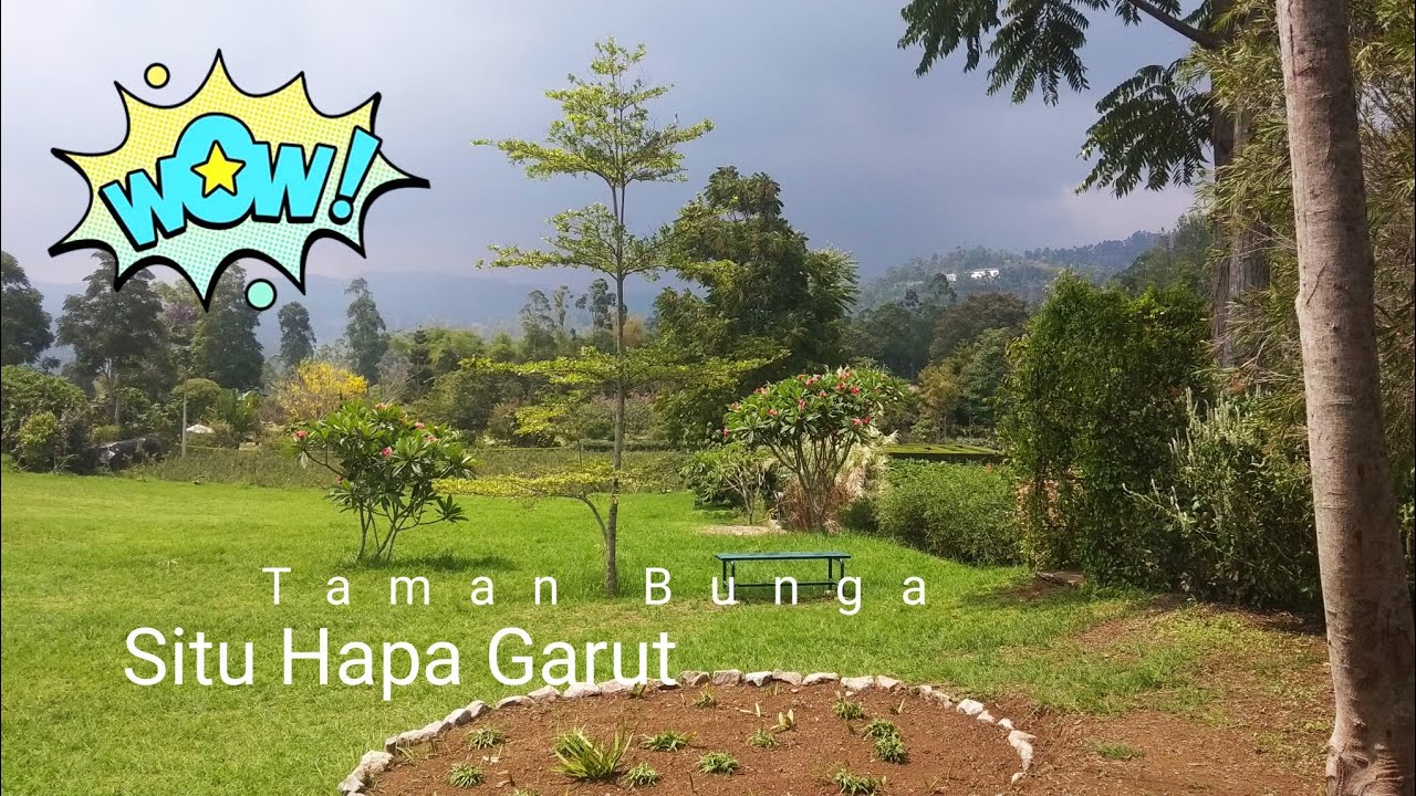Wisata Taman Bunga Mawar Garut - YouTube