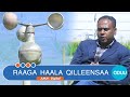 RAAGA HAALA QILLEENSAA RAAGA HAALA QILLEENSAA