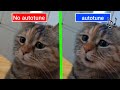 Sad Cat Meowing Original vs Autotune edit