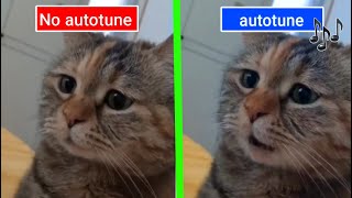 Sad Cat Meowing Original vs Autotune edit