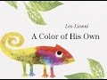 Chameleon Color Adventure Quiz
