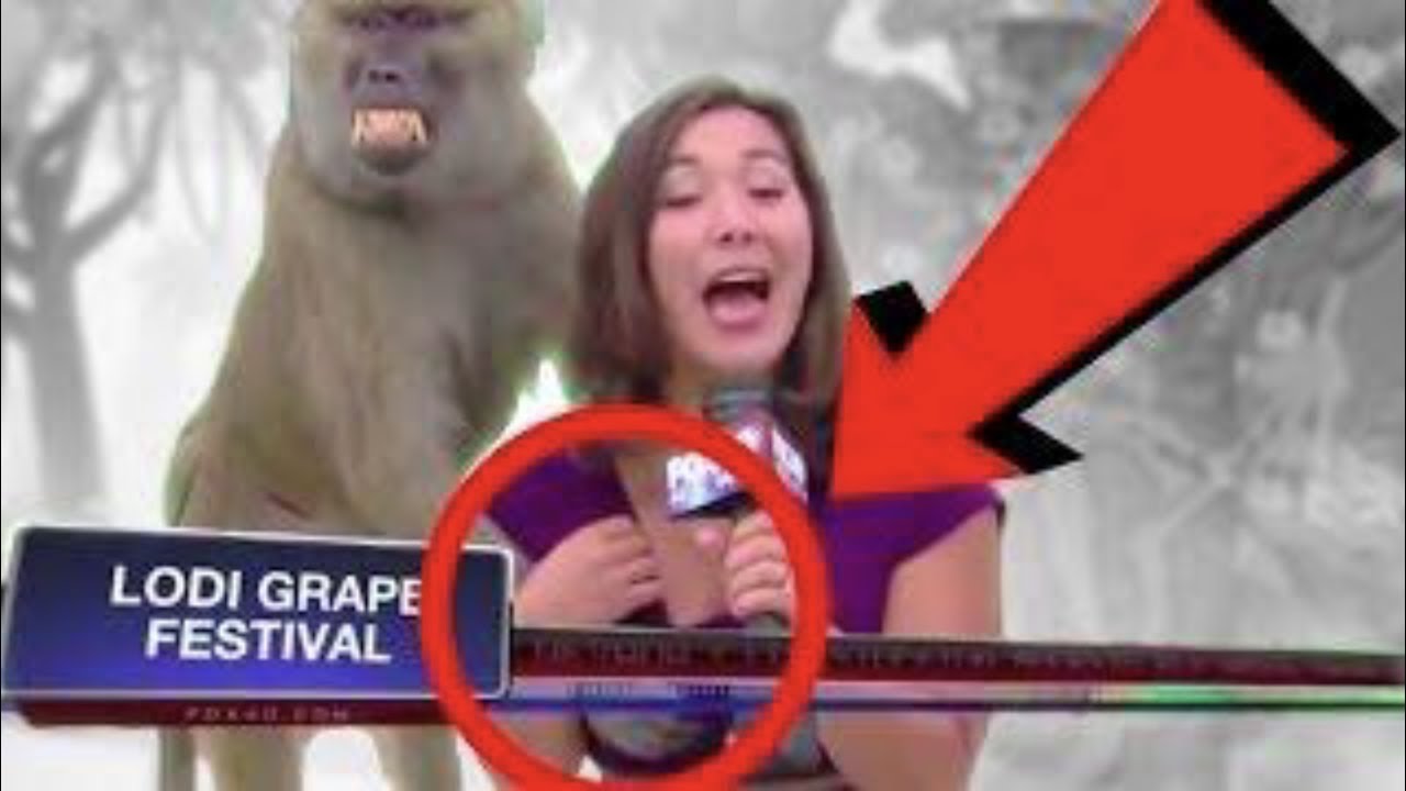 Live Fail Flash The Most Awkward Moments Caught on Live Tv | Live Tv Fails Compilation ...