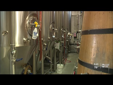 USF provides scholarship to help bring more diversity to brewing industry