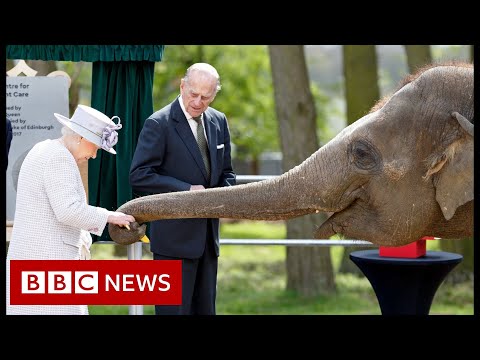 Queen Elizabeth II and her lifelong love of animals