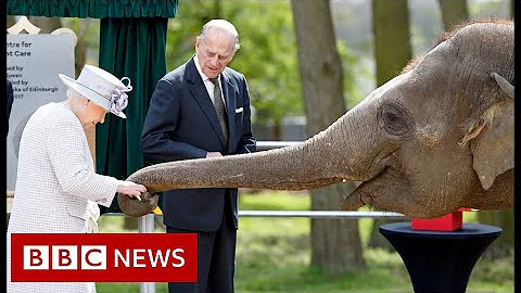Queen Elizabeth II and her lifelong love of animals