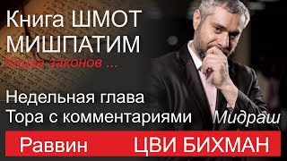 МИШПАТИМ раввин Цви Бихман Урок для группы БНЕЙ НОАХ Москва