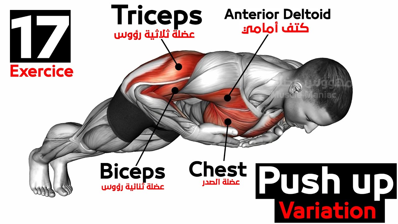 Push up Variation (17 Exercice )