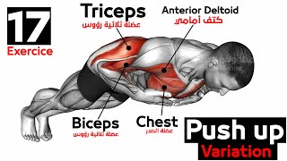 Push up Variation (17 Exercice )