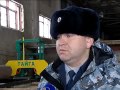 Осужденные в Магаданской области выращивают огурцы и помидоры