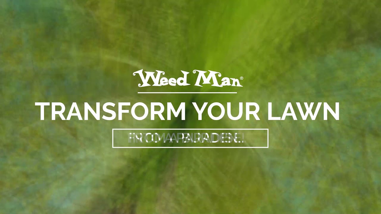 Minneapolis Lawn Care will Transform Your Lawn 