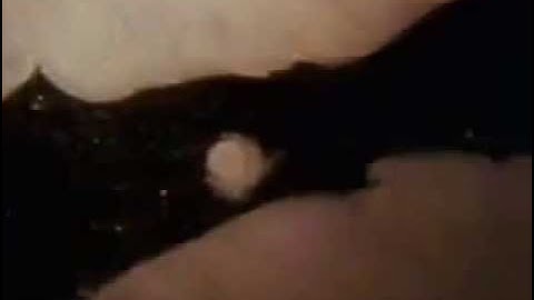 ايات من سورة المؤمنون - تلاوة عبد الباسط عبد الصمد