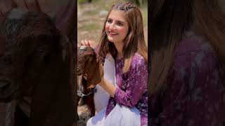 #eid #bakra#hajj #shorts#youtubeshorts#islamicvideo#viralvideo#youtubevideo#trending#love#naat#allah